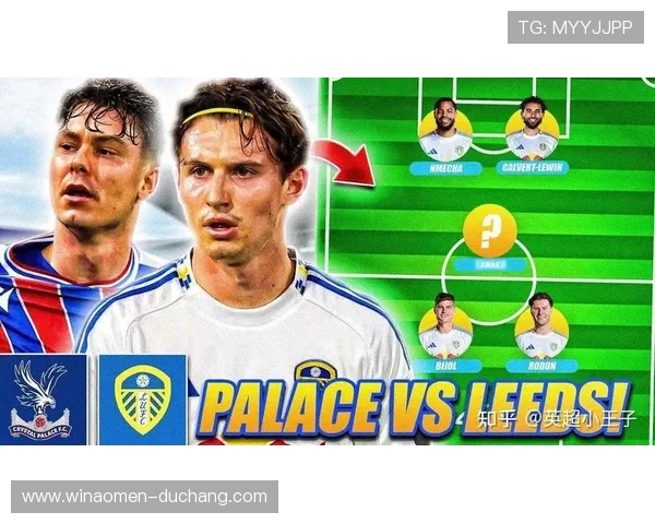 水晶宫队主力球员介绍及其在球队中的作用